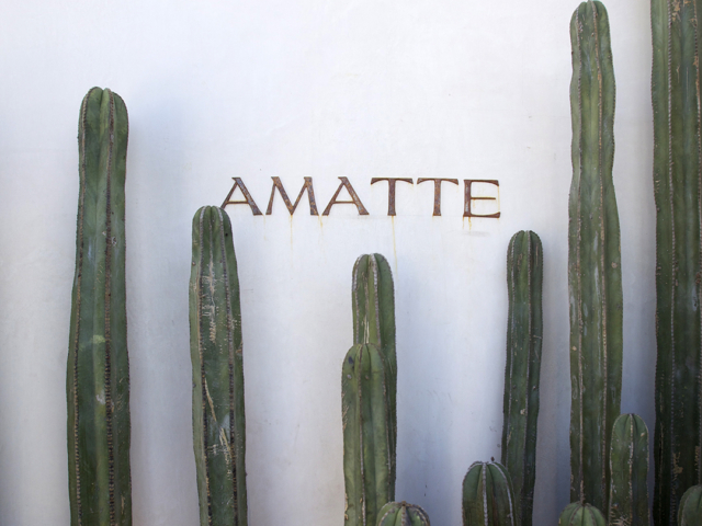 Amatte letrero