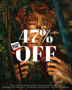 Promotions 1 AHC Buen Fin 3