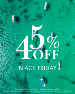 Promotions 6 VP Ganesh Buen Fin Black Friday9