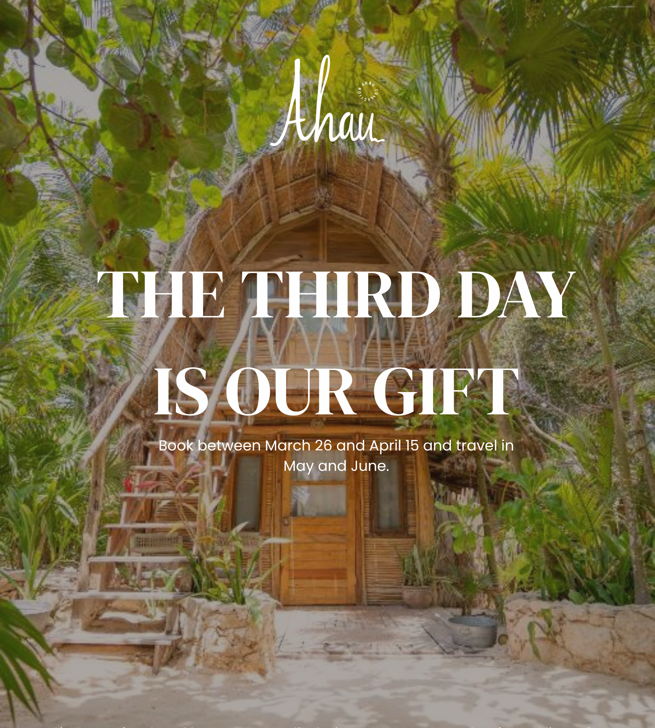 December Special - (Inglés) (2) December Special Ingles 2 e1774733520577