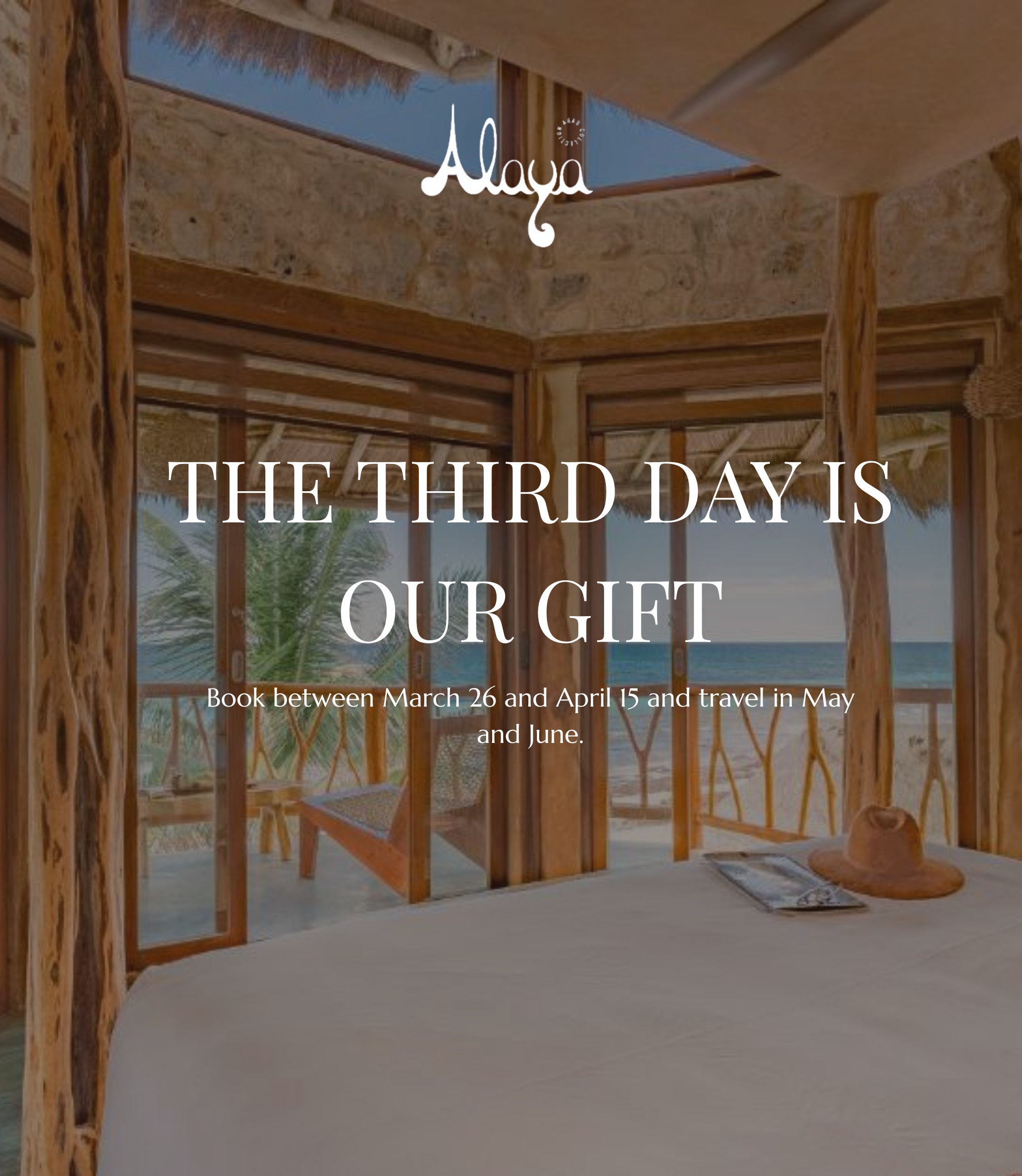 Alaya Special December Special Ingles e1774733127529